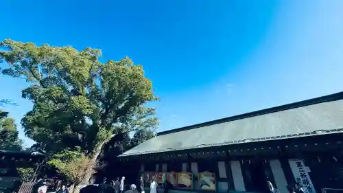 大鳥大社(大阪府)