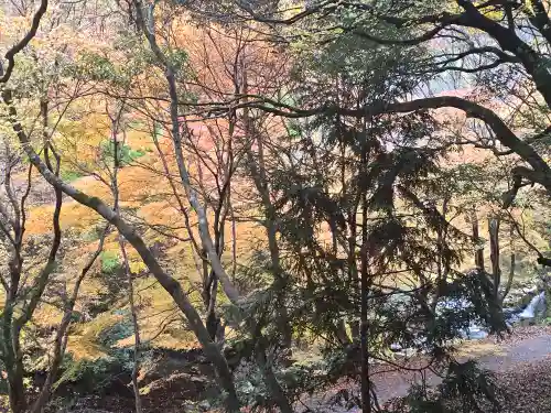 地主神社(滋賀県)