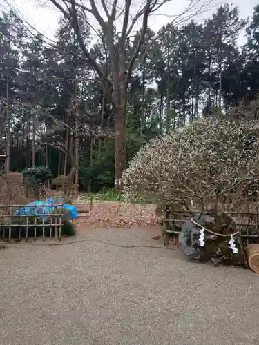 芳賀天満宮の自然