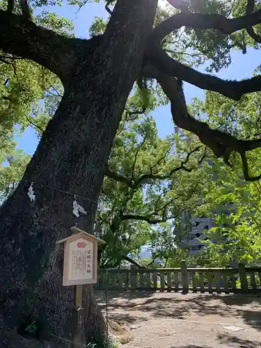 北岡神社の自然