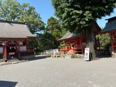 鹿児島神宮の{uncategorized: "未分類", other: "その他", undefined: "問題あり", building: "その他建物", grave: "お墓", sacred_gate: "鳥居", guardian: "狛犬", statue: "像", buddha: "仏像", history: "歴史", nature: "自然", garden: "庭園", animal: "動物", pagoda: "塔", temizu: "手水舎", mountain_gate: "山門・神門", sanctuary: "本殿・本堂", subordinate: "末社・摂社", art: "芸術", scenery: "景色", jizo: "地蔵", ema: "絵馬", goshuin: "御朱印", omikuji: "おみくじ", items: "授与品その他", amulet: "お守り", goshuincho: "御朱印帳", eats: "食事", festival: "お祭り", votive_dance: "神楽", shichigosan: "七五三参", wedding: "結婚式", experience: "体験その他", initially: "初詣", around: "周辺", anti_infection: "感染症対策"}