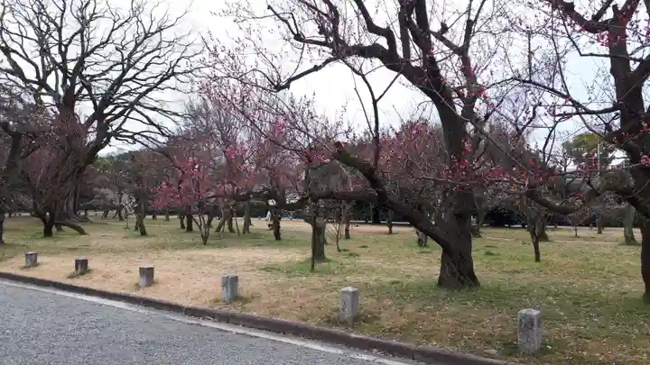 白雲神社(京都府)