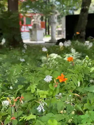 冨士御室浅間神社(山梨県)