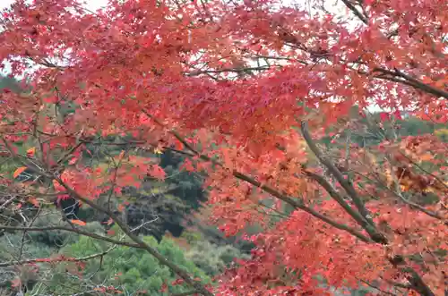 清水寺(京都府)