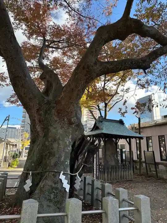 阿邪訶根神社(福島県)