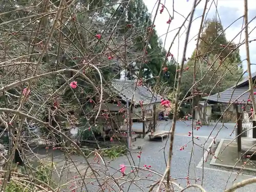 大豊神社(京都府)