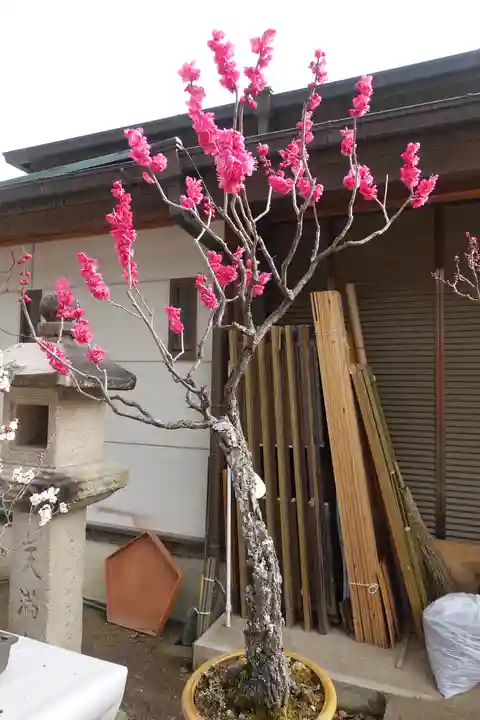 菅原天満宮(菅原神社)の自然