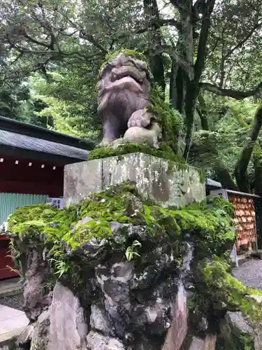 大國魂神社の狛犬