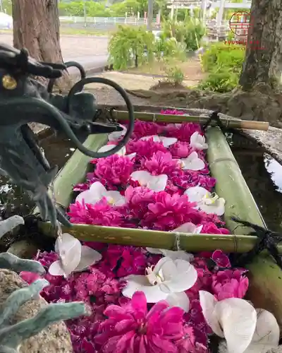 立志神社(滋賀県)