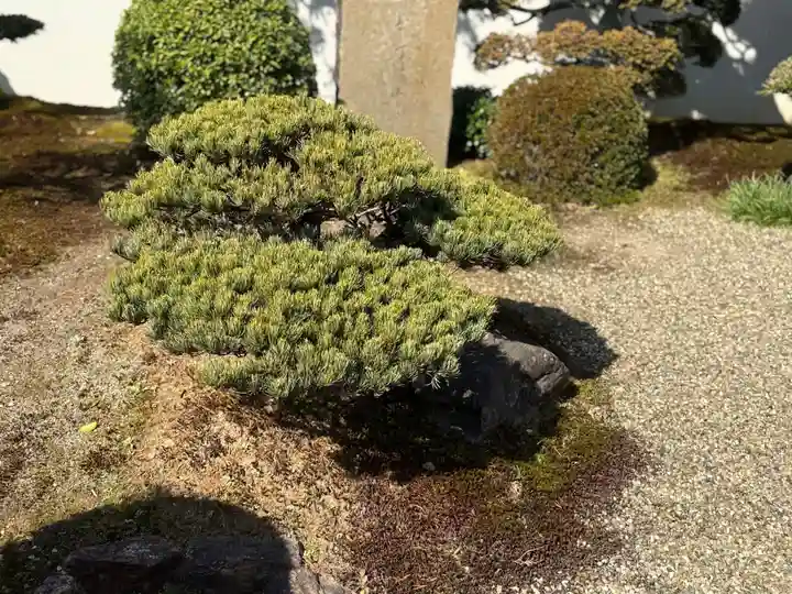 西方山極楽寺(岐阜県)