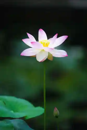 浄土寺(兵庫県)