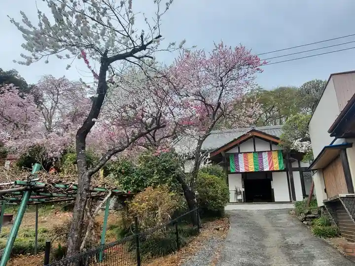 音楽寺(埼玉県)