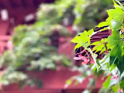 長圓寺(長野県)