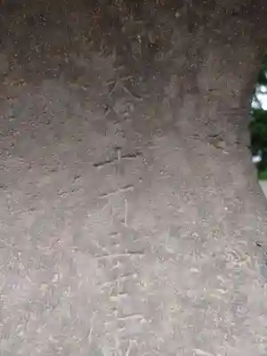 赤城神社(千葉県)