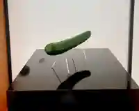 西方山極楽寺(岐阜県)