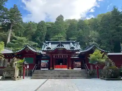 箱根神社の本殿・本堂