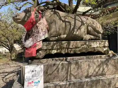 北野天満宮(京都府)