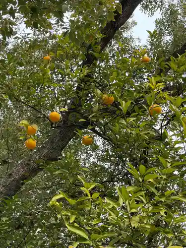 田蓑神社の自然