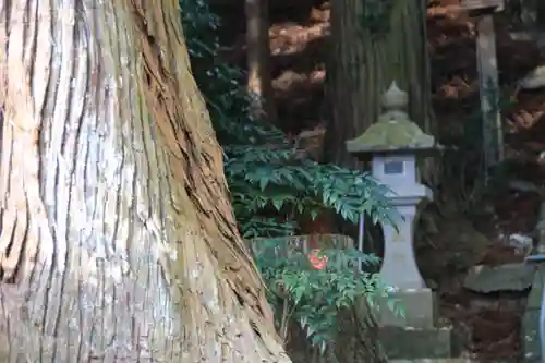 鹿島大神宮の庭園