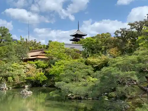 仁和寺の庭園