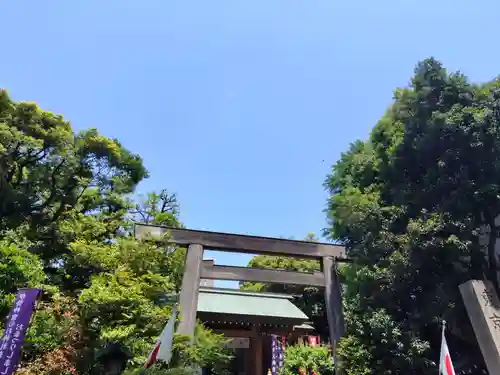東京大神宮(東京都)