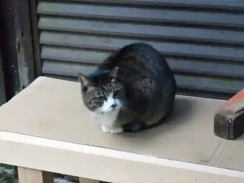 薬力社(京都府)