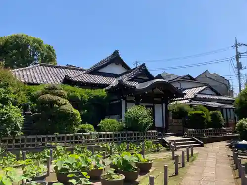 円乗院(東京都)