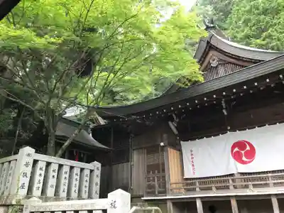 湯泉神社の本殿・本堂