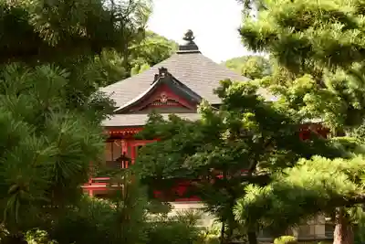 大覚寺(京都府)