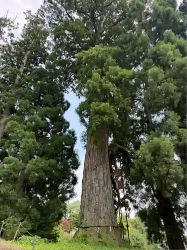 富士山興法寺 大日堂(静岡県)