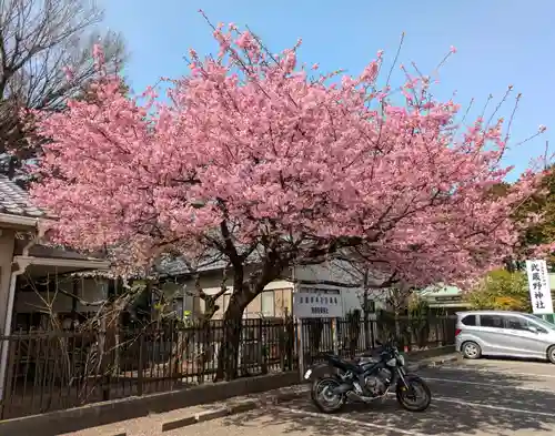 武蔵野神社(東京都)