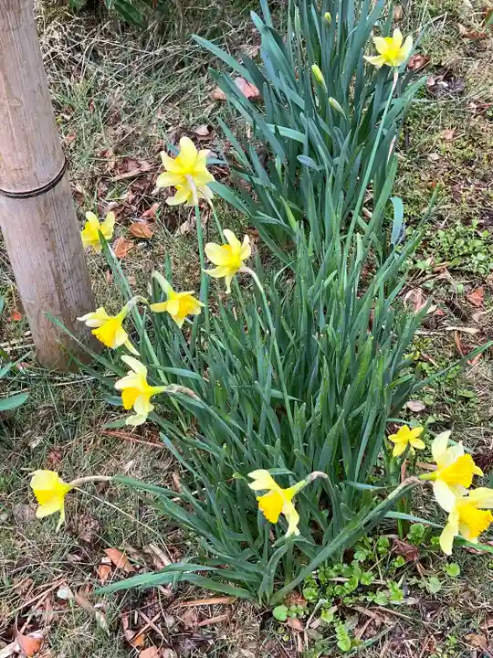 八王寺(埼玉県)