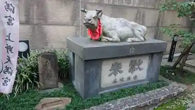 櫻天神社の狛犬