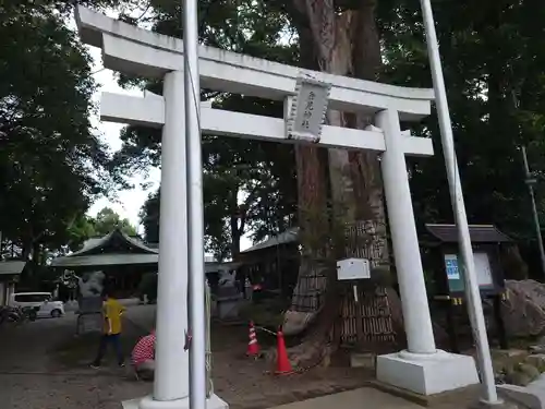 倉見神社の鳥居