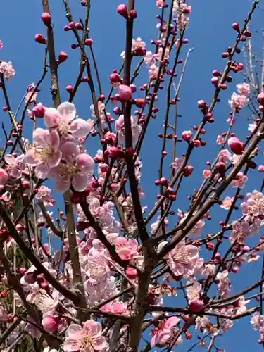 新善光寺の自然