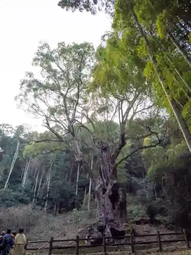 武雄神社の{uncategorized: "未分類", other: "その他", undefined: "問題あり", building: "その他建物", grave: "お墓", sacred_gate: "鳥居", guardian: "狛犬", statue: "像", buddha: "仏像", history: "歴史", nature: "自然", garden: "庭園", animal: "動物", pagoda: "塔", temizu: "手水舎", mountain_gate: "山門・神門", sanctuary: "本殿・本堂", subordinate: "末社・摂社", art: "芸術", scenery: "景色", jizo: "地蔵", ema: "絵馬", goshuin: "御朱印", omikuji: "おみくじ", items: "授与品その他", amulet: "お守り", goshuincho: "御朱印帳", eats: "食事", festival: "お祭り", votive_dance: "神楽", shichigosan: "七五三参", wedding: "結婚式", experience: "体験その他", initially: "初詣", around: "周辺", anti_infection: "感染症対策"}