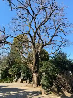 最勝寺教学院の{uncategorized: "未分類", other: "その他", undefined: "問題あり", building: "その他建物", grave: "お墓", sacred_gate: "鳥居", guardian: "狛犬", statue: "像", buddha: "仏像", history: "歴史", nature: "自然", garden: "庭園", animal: "動物", pagoda: "塔", temizu: "手水舎", mountain_gate: "山門・神門", sanctuary: "本殿・本堂", subordinate: "末社・摂社", art: "芸術", scenery: "景色", jizo: "地蔵", ema: "絵馬", goshuin: "御朱印", omikuji: "おみくじ", items: "授与品その他", amulet: "お守り", goshuincho: "御朱印帳", eats: "食事", festival: "お祭り", votive_dance: "神楽", shichigosan: "七五三参", wedding: "結婚式", experience: "体験その他", initially: "初詣", around: "周辺", anti_infection: "感染症対策"}