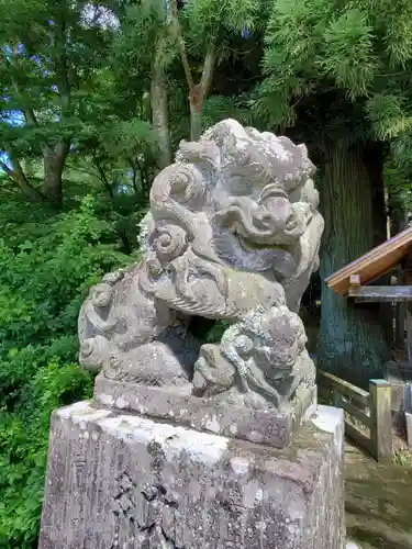 白河神社の狛犬