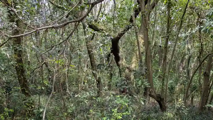 蛭子神社の自然