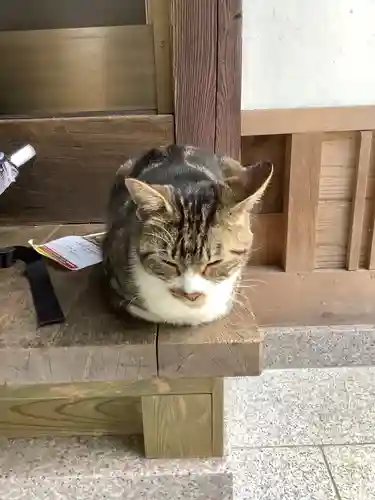 玉野御嶽神社の動物