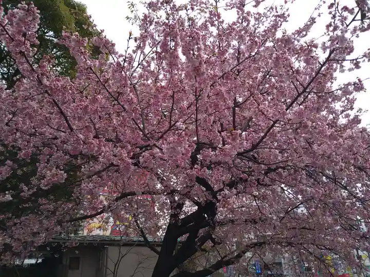 五條天神社の自然