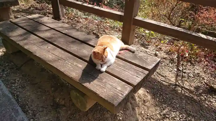 唐澤山神社の動物