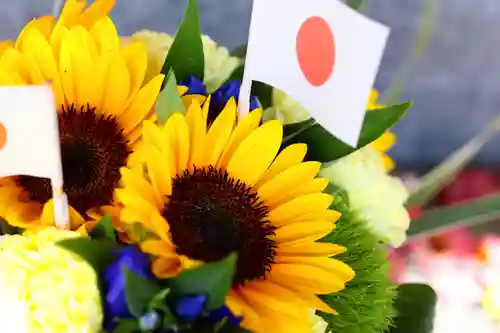 三津厳島神社の自然