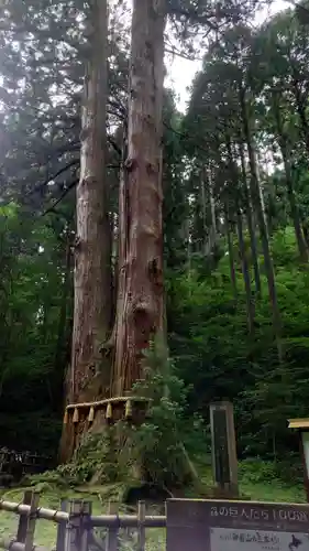 御岩神社(茨城県)