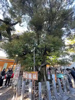 伊奴神社(愛知県)