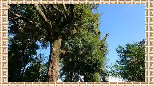 鶴峯八幡宮(茨城県)