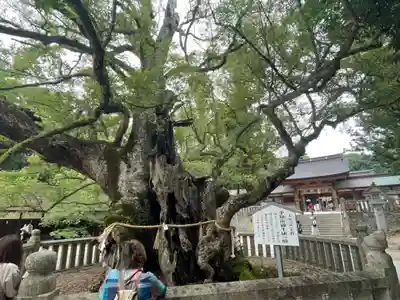 大山祇神社(愛媛県)