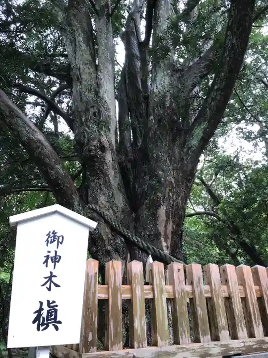 安房神社の自然