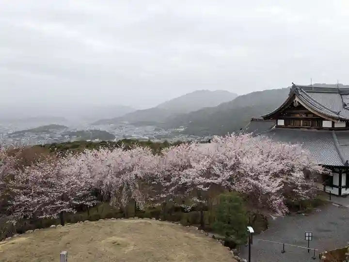 将軍塚青龍殿(青蓮院門跡)(京都府)