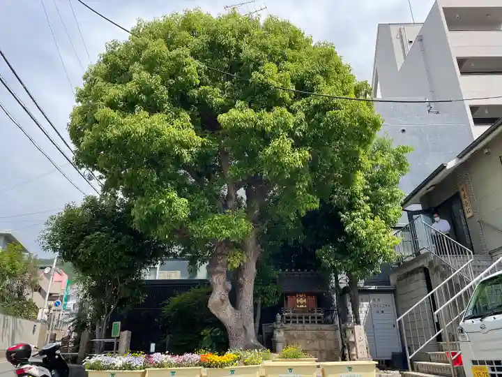 田邊山神社遥拝所(兵庫県)